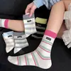 Nuevos Calcetines Clásicos de Algodón Gris Sin Costuras de Estilo Europeo para Todas las Estaciones con Lazo de Cinta para Mujer 2025
