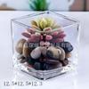 Simples e elegante quadrado engrossado quadrado cilindro de vidro transparente hidropônico criativo hidropônico carnudo planta vaso de flores pequeno tanque de peixes