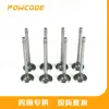 9676718180 es adecuado para la válvula de admisión de los motores diésel Peugeot Citroen DW10/DW12