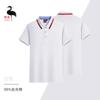 Playeras tipo polo de algodón serigrafiadas, Camisas publicitarias culturales estampadas, Ropa de trabajo bordada, Playeras con cuello y manga corta, Polo con cuello de camisa