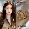 Aretes de Aro Dorados para Mujer 2025 Nuevo Estilo Caliente Lujo Accesible de Gama Alta Aretes Otoño e Invierno Aretes Súper Bonitos Joyería de Aretes