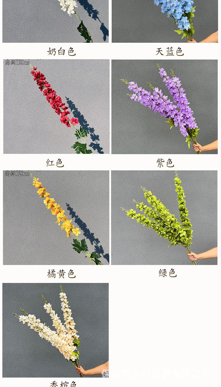 千代兰详情模板_03.jpg
