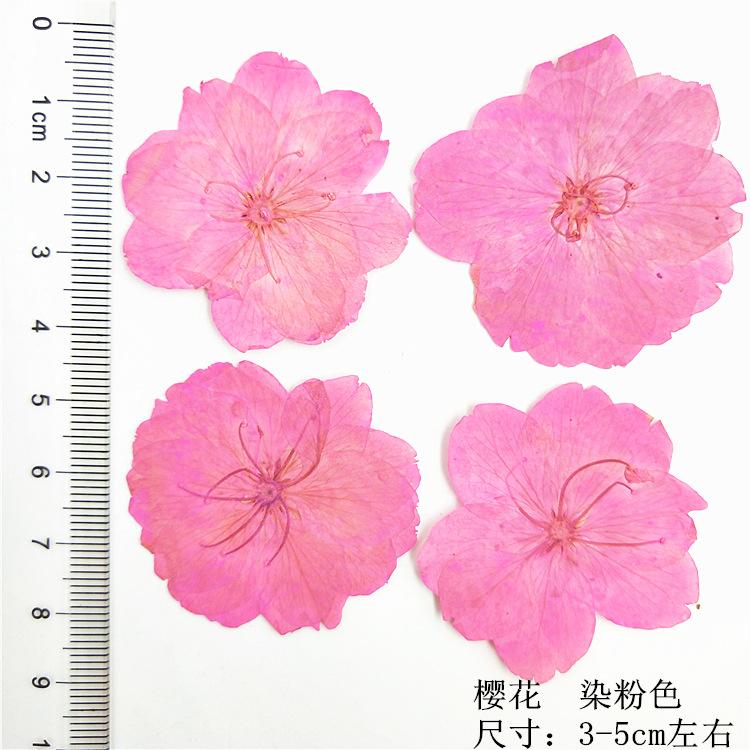 IMG20190623132729.jpg