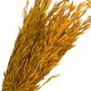 Flor seca de Yunnan flor eterna flor seca de aveia espiga de trigo buquê decoração de casa materiais florais macios materiais de combinação floral
