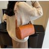 Bolso de Hombro de Moda Simple Bolso Almohada Casual de Moda para Mujer 2024 Invierno Nueva Moda Bolso Simple de Axila