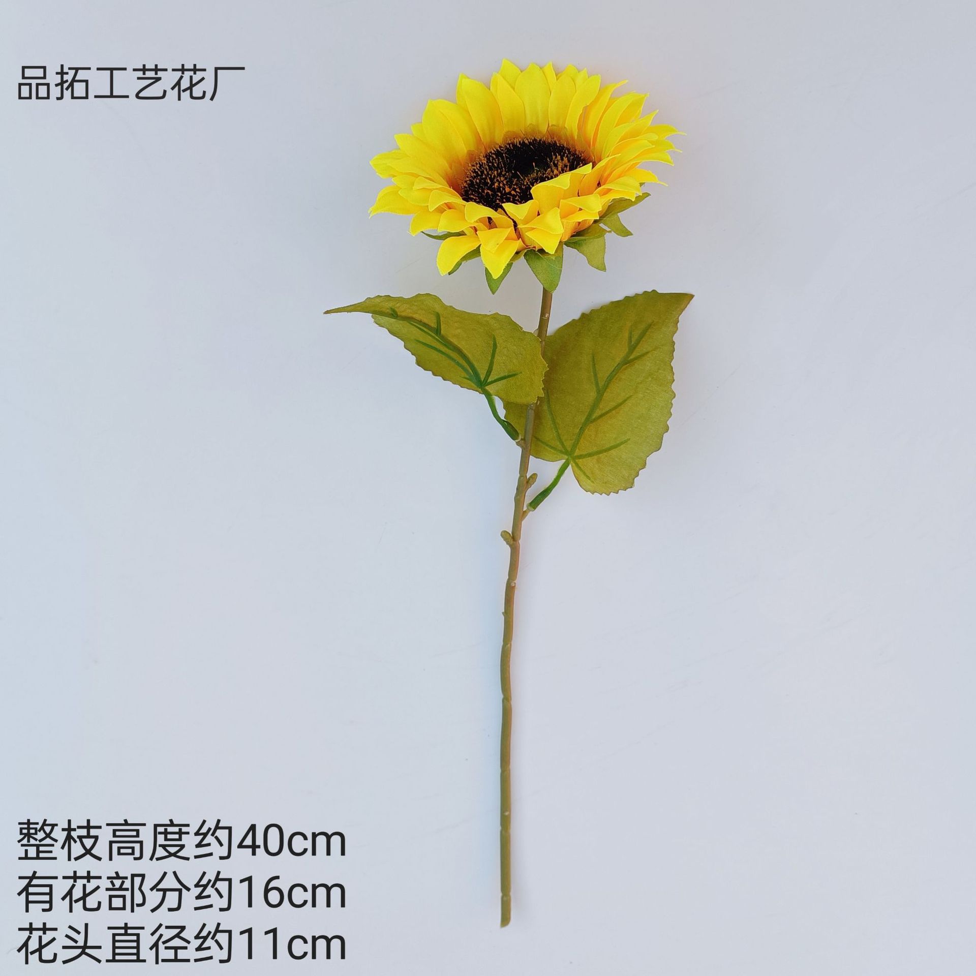 9ed32052306ed67f35c87ac5aa40e5