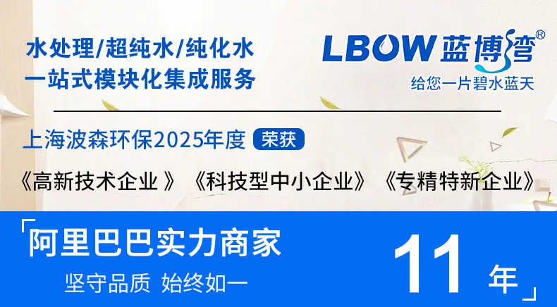 2025专精特新