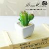 Mini Suculentas, Bonsái Pequeño, Flores Falsas, Adornos Creativos, Fabricantes de Jinhua, Plantas Verdes Artificiales en Maceta