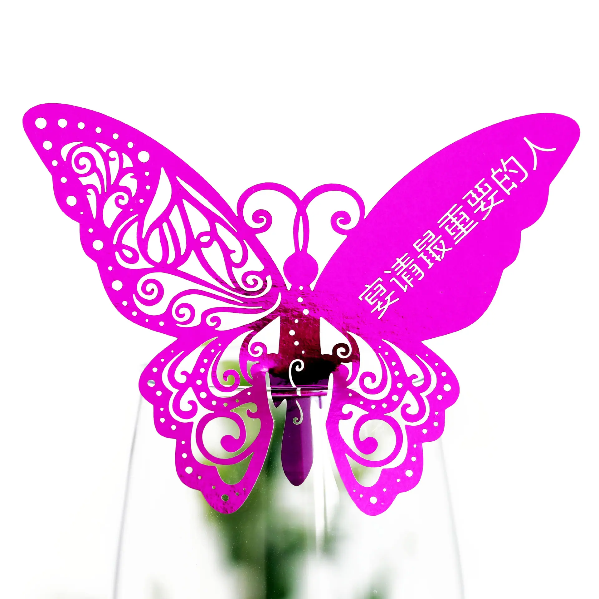 9R3A2945 反光玫红