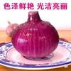 Cebollas de Fruta, Cebollas Moradas Dulces Frescas Crudas, Cebollas Redondas Pequeñas de 4.5 kg, Cebolletas, Cebollas Rojas