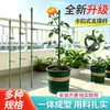 Postes de Soporte para Plantas, Soportes para Flores, Soportes Antivuelco para Amarilis, Plantas Colgantes de Jardinería, Enrejados para Rosas y Tomates, Enrejado de Escalada para Plantas Verdes