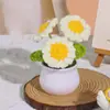 Flor de Lã Feita à Mão Produto Acabado Planta em Vaso Pequeno Girassol Tulipa Crochê Presente para o Dia dos Professores