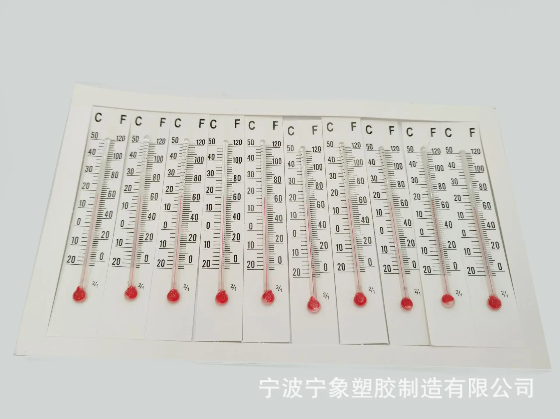纸板8.0
