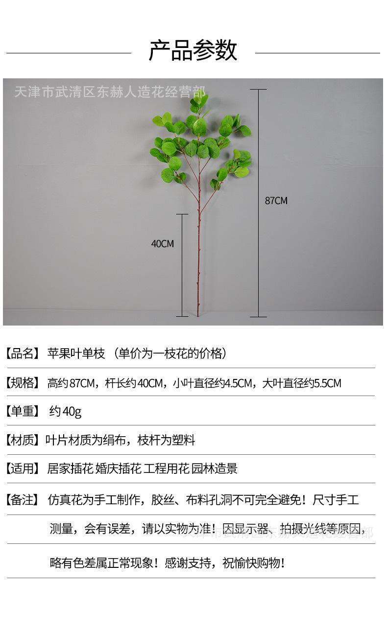 详情_01.jpg