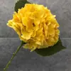 Película Western Americana Tacto a Mano Hortensia Accesorios para el Hogar Florales Lavable Hortensia de Cabeza Única con Hoja Accesorios de Boda