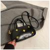 Bolso Boston Portátil Nicho Estilo Coreano para Mujer 2024 Nueva Moda Super Popular Bolso Almohada Elegante Bolso Bandolera de Hombro
