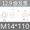 Tornillos de Cabeza Cilíndrica de Alta Resistencia Grado 12.9 para Impulsión de 1/2", Tornillos de Estándar Nacional, Caja Completa M2M3M4M5M6M8