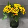 Fruta Simulada Cereza Fruta Rama Corta Fruta Navideña Rama Única Jugo de Baya Decoración de Arreglo Floral Accesorios Arándano Baya Biónica