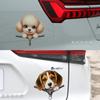 Pegatinas creativas 3D de dibujos animados tridimensionales transfronterizos para coche, decoración de coche eléctrico, pegatinas impermeables para parachoques de coche