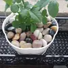 2.5 kg Piezas de Guijarros Naturales, Piedras de Gota de Lluvia, Piedras en Bruto para Acuarios, Macetas, Paisajismo, Piedras Naturales Pequeñas para Jardines, Piedras de Colores