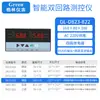 Controlador de temperatura, presión y nivel de líquido de doble circuito y doble haz de luz con dos instrumentos de visualización y dos entradas de señal 485