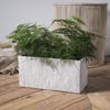 Weilu Creativo Nórdico Rectangular Imitación Piedra Transpirable Rábano Verde Suculenta Phalaenopsis Espárrago Bambú Cemento Maceta Grande Venta al por Mayor