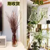 Salgueiro Nevado Duplo Galhos Frescos e Galhos Secos Em Vasos Cultura Aquática Hidropônico Florais de Interior Fácil de Alimentar Mergulhado em Água Enraizamento Salgueiro Dragão Fácil de Florescer