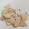 Animales Marinos Caricatura Virutas de Madera Entorno de Madera Ecológico Guardería Oceánica Virutas de Madera para Colorear Hecho a Mano DIY Creación Ambiental Estrella de Mar