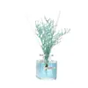 Aromaterapia Flor Seca Enfeites de Aromaterapia Casa Sala de Estar Banheiro Purificador de Ar Líquido Colorido Aromaterapia Sem Chama 50ml Transfronteiriço