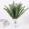 Hoja de eucalipto individual transfronteriza hoja de dinero decoración hoja de dinero decoración de boda planta verde simulación flor artificial eucalipto al por mayor