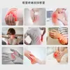 Pomada Personalizada para Cavalos, Gel Creme Massageador de Castanha da Índia, Gel Calmante Muscular para Ombros e Pescoço, Gel Compressa Fria para Articulações