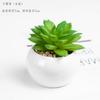 Planta Verde Artificial Carnuda Flor de Plástico Flor Artificial Planta em Vaso Decoração de Mesa Janela Mini Bonsai Mesa de Jantar Flor Mini