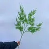 Hojas Verdes de Planta de Plástico Simuladas, Serie Verde, Decoraciones Verdes para Techo, Postes Guía para Techos Altos, Paisajismo Verde para Proyectos Exteriores, Plantas Verdes Estilo Bosque