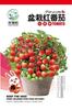 Semillas de Verduras Sembradas en Macetas para Todas las Estaciones, Balcón Patio, Cilantro, Hojas Verdes, Frijoles, Lechuga, Chalotes, Semillas de Espinaca
