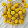 Flores Hechas a Mano del Jardín de Infancia Acorn, Flores Naturales Reales, Piñas, Frutos de Mil Granos, Flores Secas Decorativas, Materiales para Manualidades Navideñas