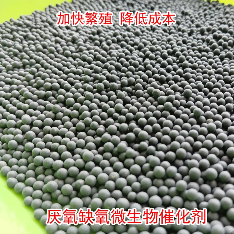 厌氧菌微生物催化剂 (2) 拷贝.jpg