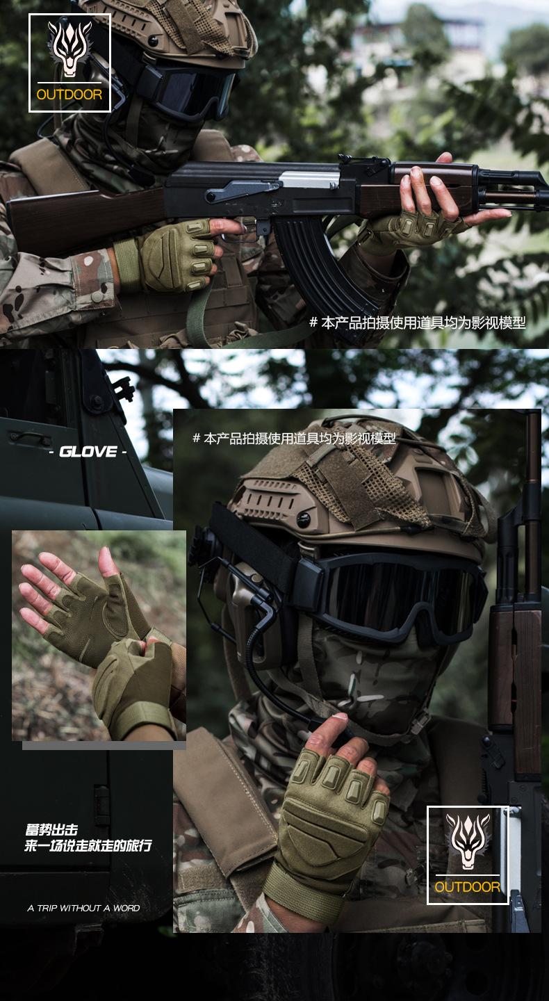 F_12.jpg