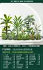 Paisagismo de Combinação de Plantas Verdes sob a Escada, Paisagem Tropical com Plantas Artificiais, Árvores Artificiais, Decorações de Plantas em Vasos para Interior