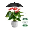 Paraguas Sombrilla de Hortensia al por Mayor del Fabricante, Paraguas de Protección para Plantas de Jardín, Paraguas para Macetas de Plantas de Exterior, Se Puede Personalizar con Logo
