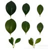 Cinta Adhesiva Imitación Hoja de Frijol Artificial, Tres Colores de Hojas Artificiales Verde-Marrón Oscuro y Claro, Accesorios para Arreglos Florales Hechos a Mano para Bodas, Al por Mayor en Stock