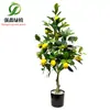 Simulação transfronteiriça ornamentos de plantas verdes oliveira flor artificial plantio camélia árvore laca limão laranja planta em vaso