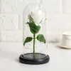 Flor Eterna Cobertura de Vidro O Pequeno Príncipe Rosa Dia dos Namorados Presente de Natal Presente Criativo Decoração de Mesa Fábrica