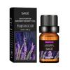 Óleo Essencial de Aromaterapia Desodorizante Transfronteiriço 10ml Máquina de Aromaterapia para Interior Fragrância Duradoura Óleo Essencial de Lavanda para Massagem