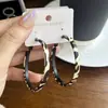 Brincos Geométricos com Estampa de Leopardo com Agulha de Prata, Brincos Studs Transfronteiriços da Moda de Luxo Leve, Brincos Versáteis de Nicho de Alta Qualidade para Mulheres