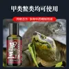 Pesca de tartarugas de casco mole tartaruga medicinal pequena isca tartaruga selvagem pesca antiga tartaruga poção atrativo tartaruga d'água tartaruga de casco mole abertura de anzol agente pescador rei oito