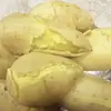 Polvo de Batata Dulce de Castaña de Piel Blanca y Pulpa Amarilla de Chaozhou, Suave y Fragante, Recién Desenterrado y Enviado, Batata de Yema de Huevo Cultivada en Granja, Envío Gratis