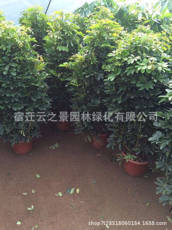 鍏柟鏉ヨ储璇︾粏2