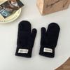 Pedido de Corea del Sur ~ bolso de imitación de pelo de visón guantes para los dedos color fresco lindos guantes tipo manopla estilo ins cálidos para estudiantes en otoño e invierno