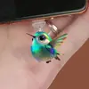 Tapón de Polvo Popular Acrílico Transfronterizo para Cuidado de Mascotas, Adecuado para Interfaz Tipo-C, Cuidado y Mantenimiento de Teléfonos Móviles