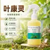 Ye Kang Ling Solução Nutricional de Planta Sempre-Viva Concentrada para Prevenção de Amarelamento e Pontas Secas Esterilização Altamente Eficaz